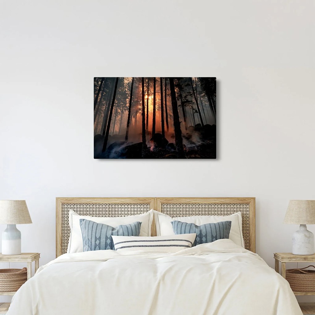 Sötét erdő képe (90x60 cm)