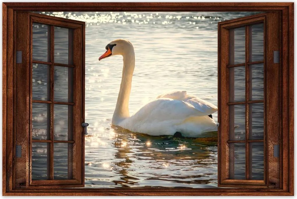 Poszterek 60x40 Hattyú a tavon