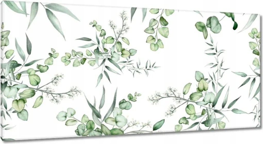 Vászonkép 115x55 Eucalyptus Floral virág