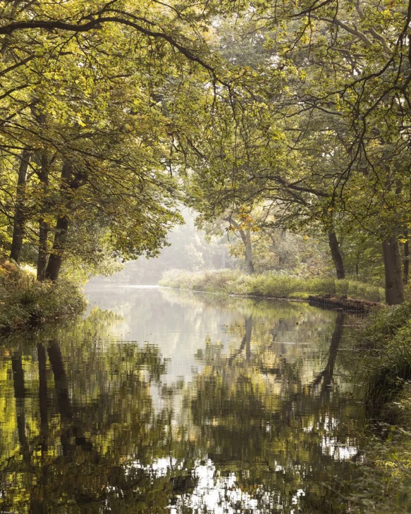 Poszter 40x50cm Csatorna Basingstoke 2, Assaf Frank