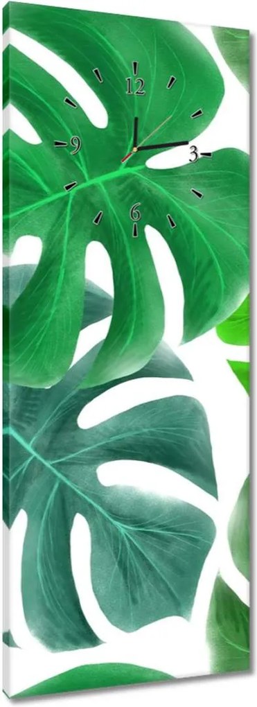 Órák 40x100 Levelek Monstery Trópusok