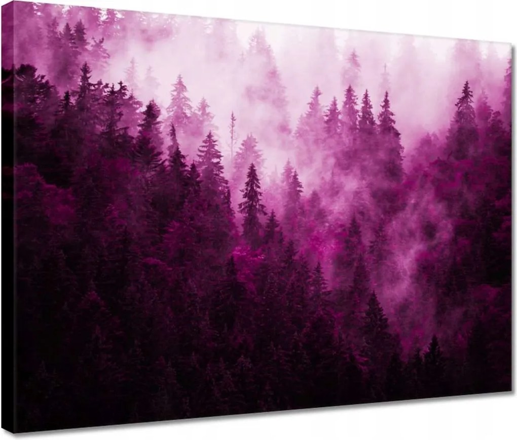 Vászonkép 40x30 Tájkép Rózsák Hegyek Köd