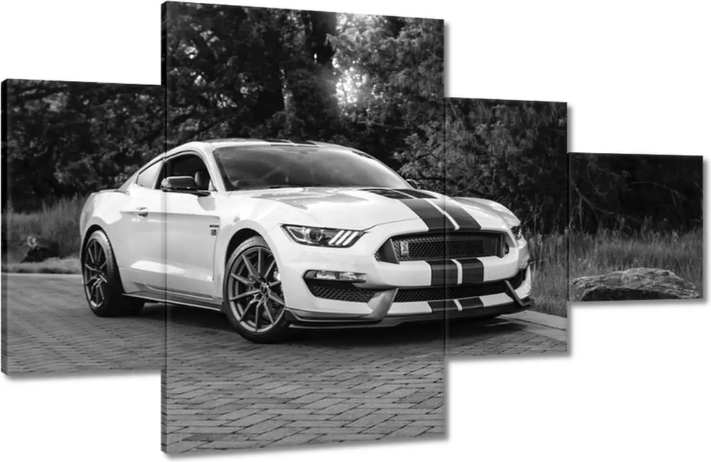 Képek 130x80 Sportos Ford Mustang