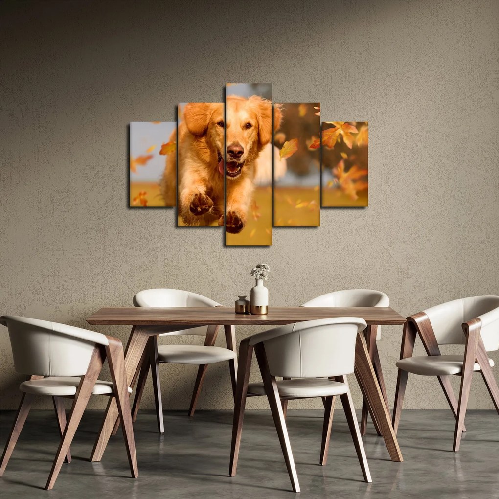 Kép - Golden Retriever (150x105 cm)