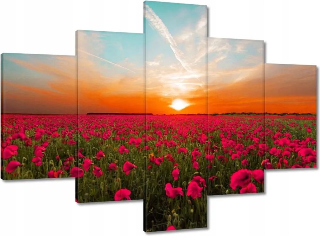 Vászonkép 100x70 Rózsaszín pipacsok Naplemente