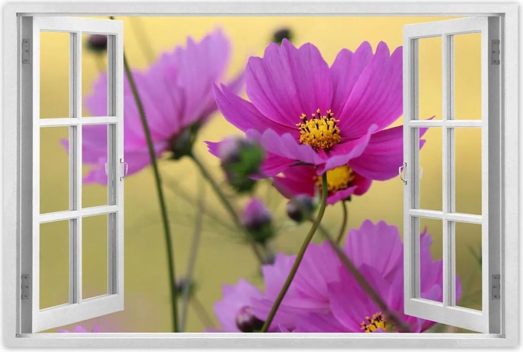 Poszterek 120x80 Virágok a réten