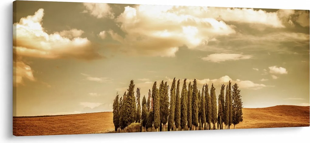 A Tisztás képe (120x50 cm)