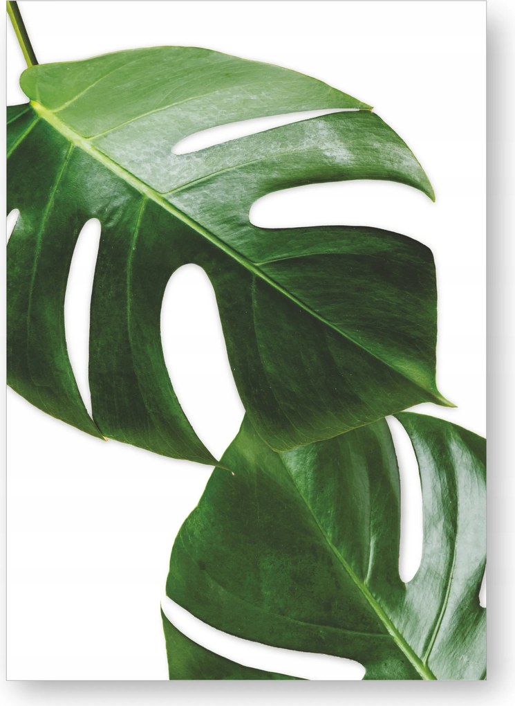 Zöld levelek poszter kép A3 zöld dekoráció #44