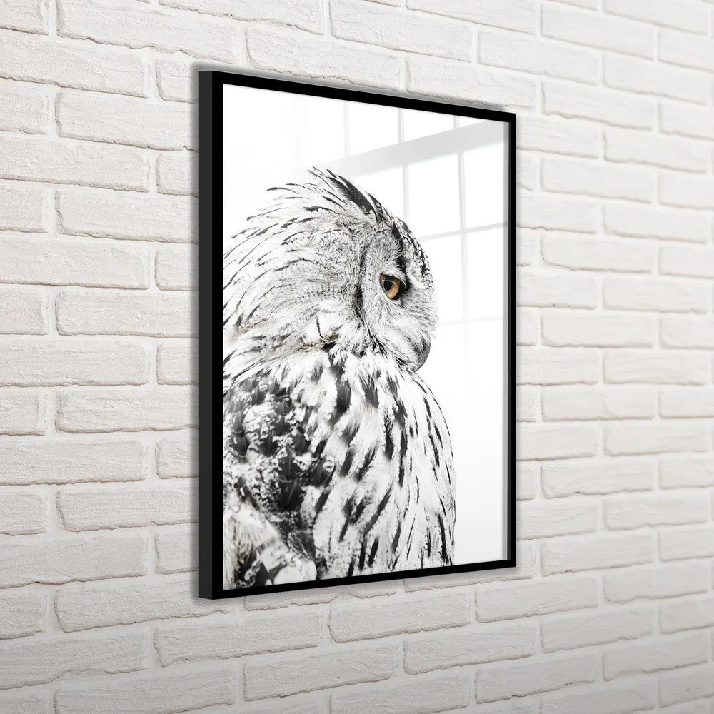 Kép 50x70 cm Owl – Styler