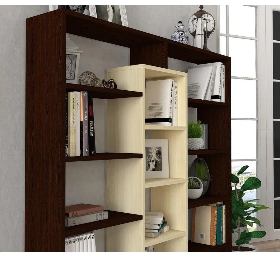 könyvespolc Ample - Birch, Wenge