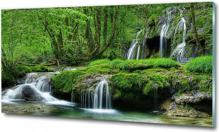 Fotó vászonkép edzett üveg Nyírfa 100x70