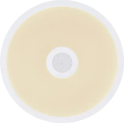 GLOBO 41366W RAFFY Kerek Mennyezeti Lámpa IP20