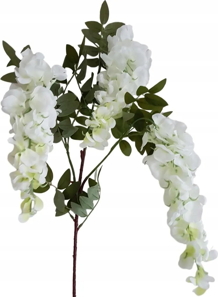 fehér wisteria lógó virágok wisteria fehér ág virág girland túlnyúlás