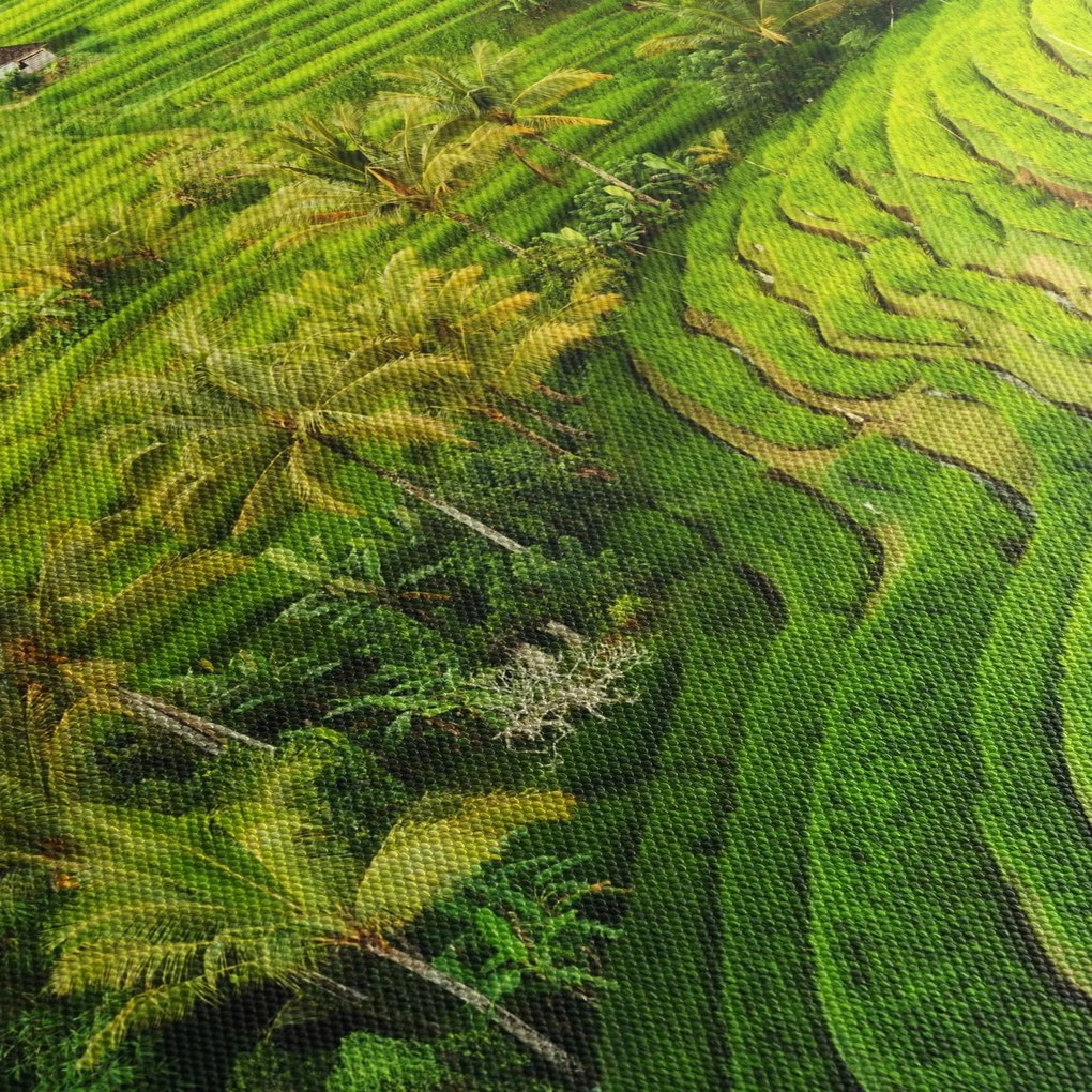Kép - Rizs teraszok (90x60 cm)