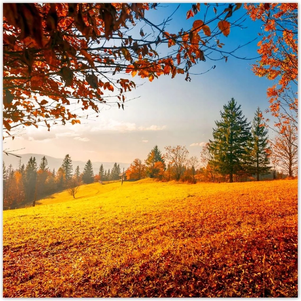 Fotótapéták 312x312 Őszi táj