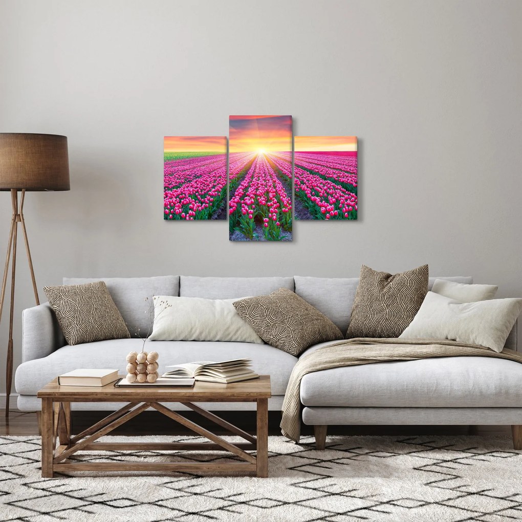 Tulipán mező és a nap képe (90x60 cm)
