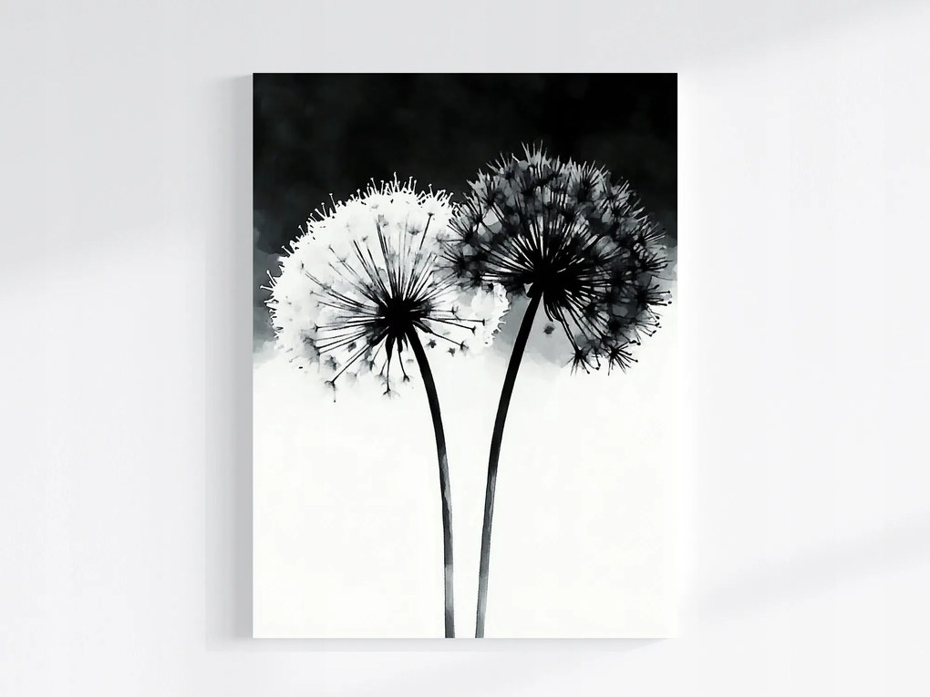 Vászonkép Canvas Grafika Modern Virágok Pitypang Fekete-fehér 60x80