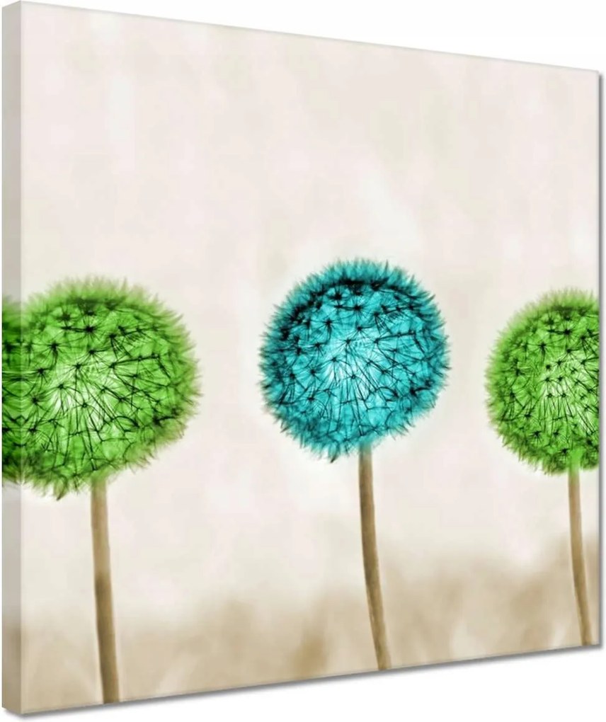 Vászonkép 30x30 Lime pitypangok