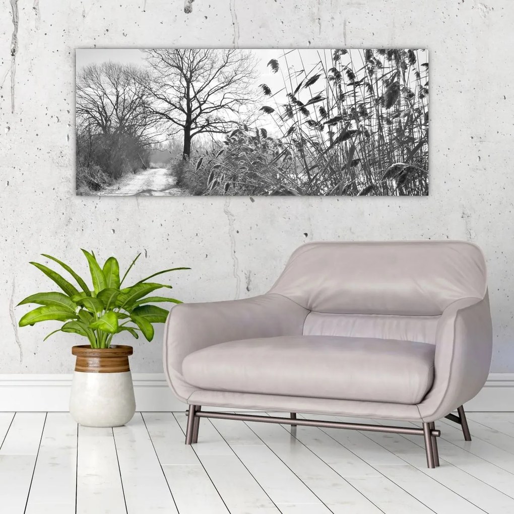 Kép - Mezők télen (120x50 cm)