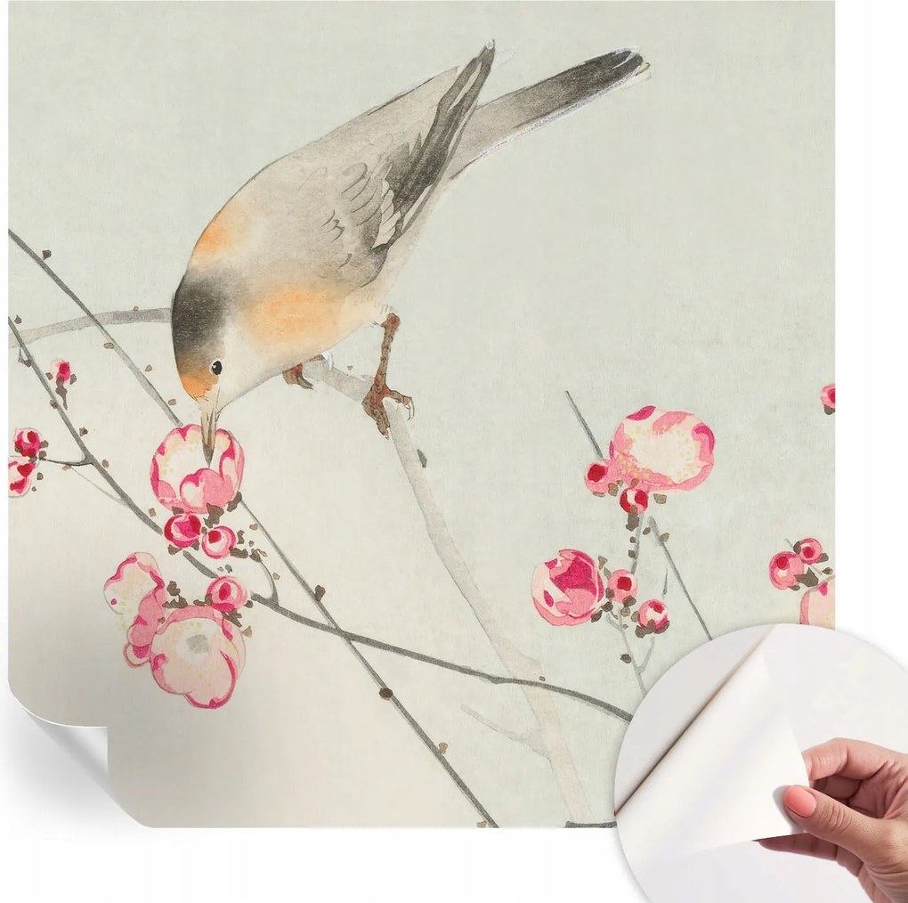 Dekoratív öntapadós fotótapéta Hálószobába Virágos madár 250x250 cm