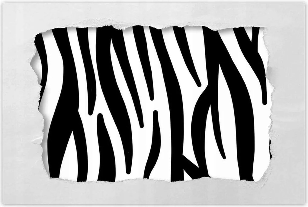 Poszterek 60x40 Zebra csíkos