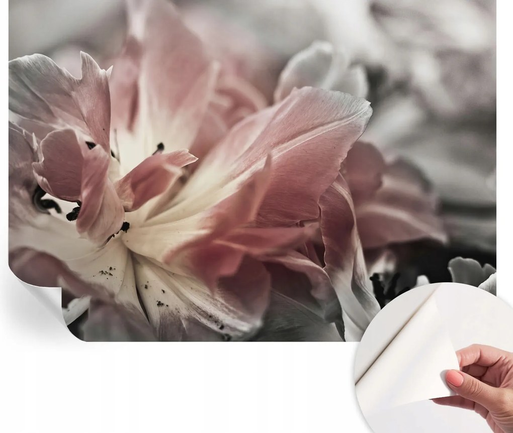 Fotótapéta Fali tapéta Hálószobába és Nappaliba Pasztell virág 312x219 cm