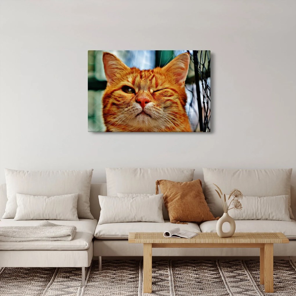 Egy pislogó macska képe (90x60 cm)