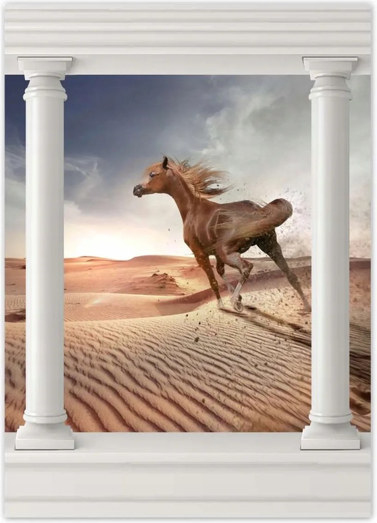 Poszterek 50x70 Galoppozó ló