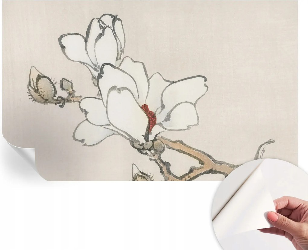 Öntapadós fali fotótapéta Hálószobába Finom magnólia 416x254