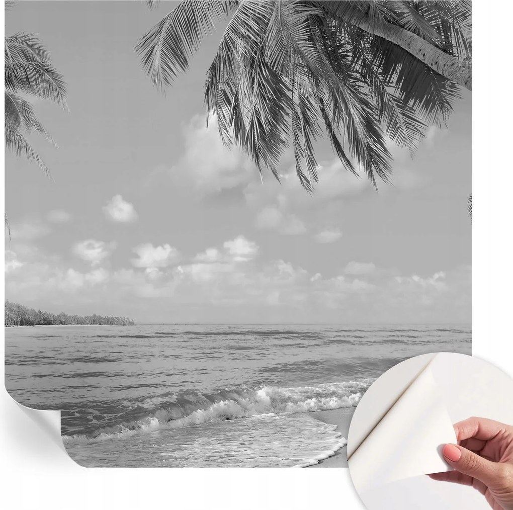 Dekoratív öntapadós fotótapéta irodába Trópusi paradicsom 250x250 cm