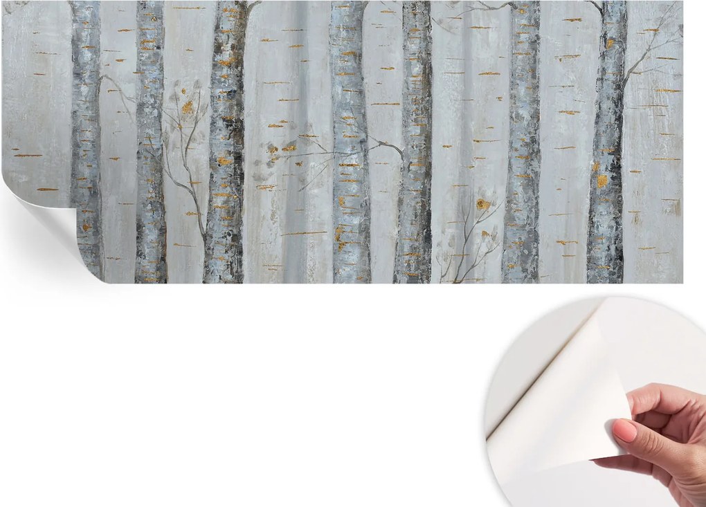 Fotótapéta Öntapadós Dekoratív tapéta Nyírfák 250x104 cm