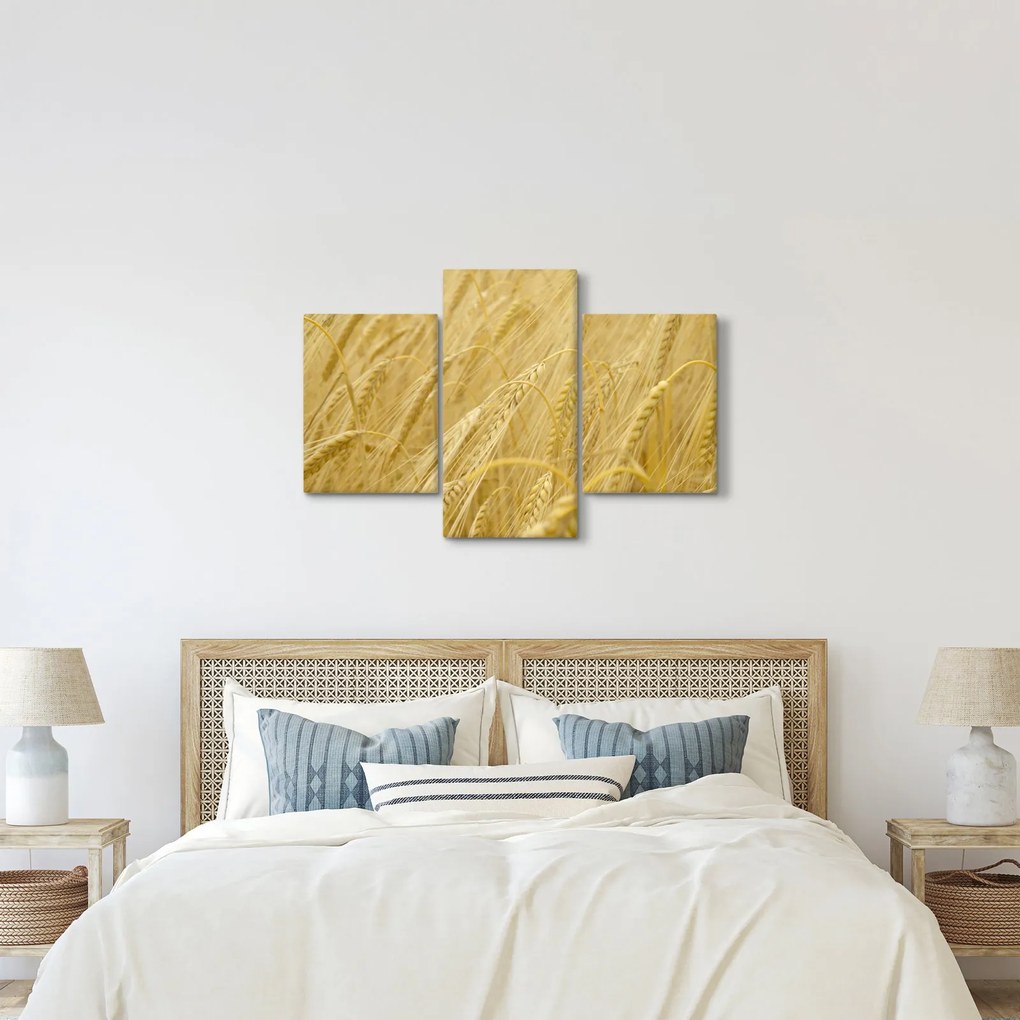 Kép - Árpa (90x60 cm)