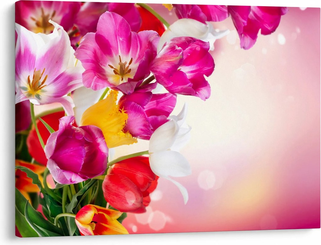 Tulipán képe (70x50 cm)