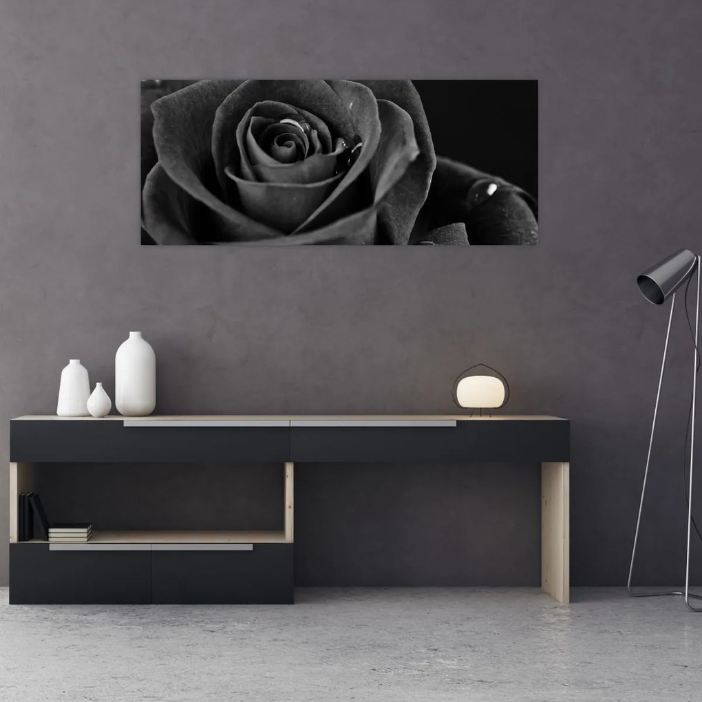 Kép - Bíborvörös rózsa (120x50 cm)