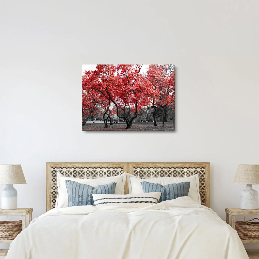 Kép - vörös fák, Central Park, New York (70x50 cm)