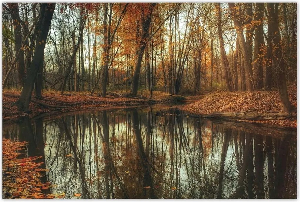 Poszterek 120x80 Őszi táj Tájkép