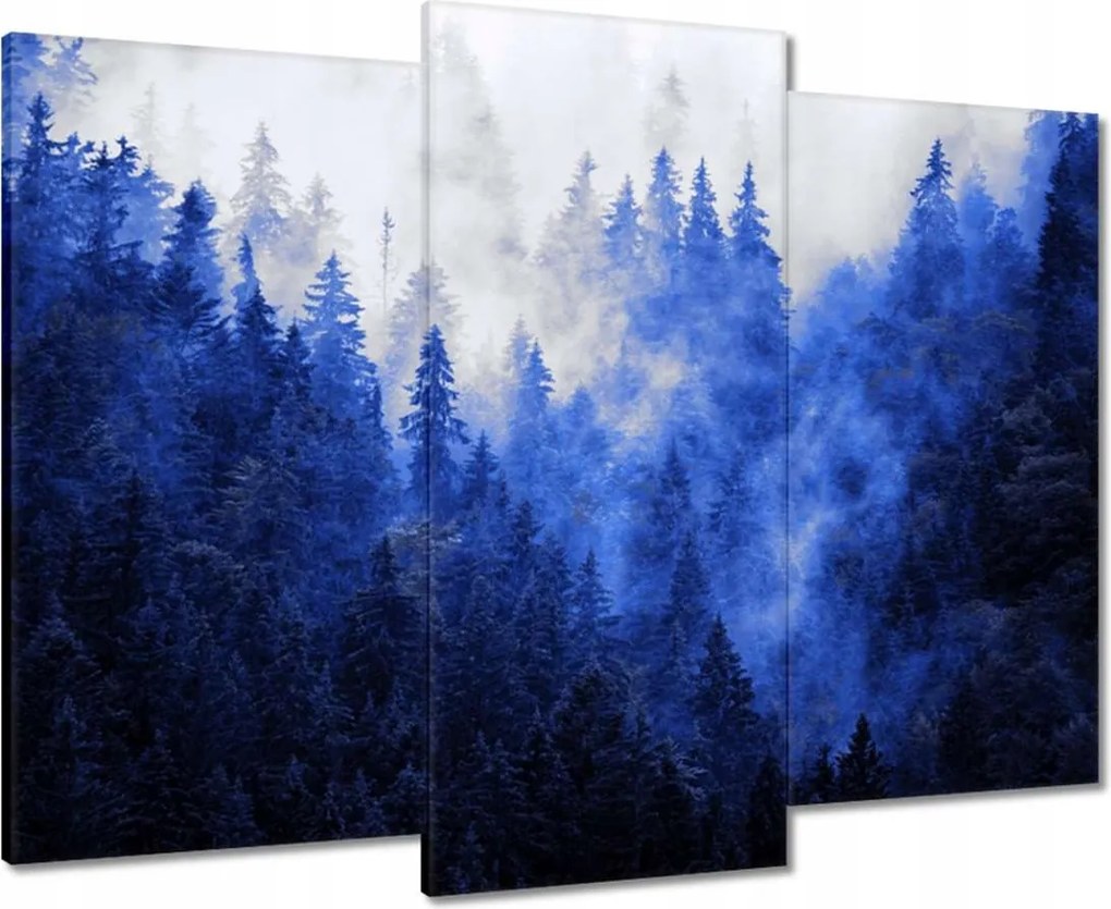 Vászonkép 90x70 Kék táj Hegyek