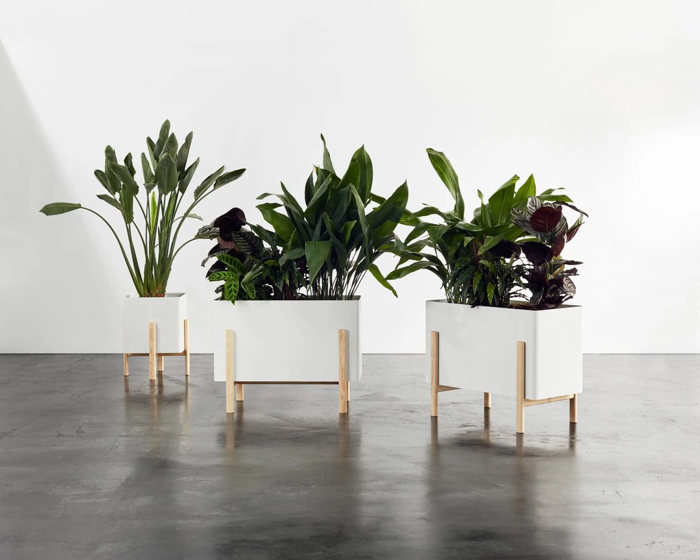 ASHI négyzet alakú önöntöző virágcserép, többféle változatban - Hobby Flower szín: tópszín