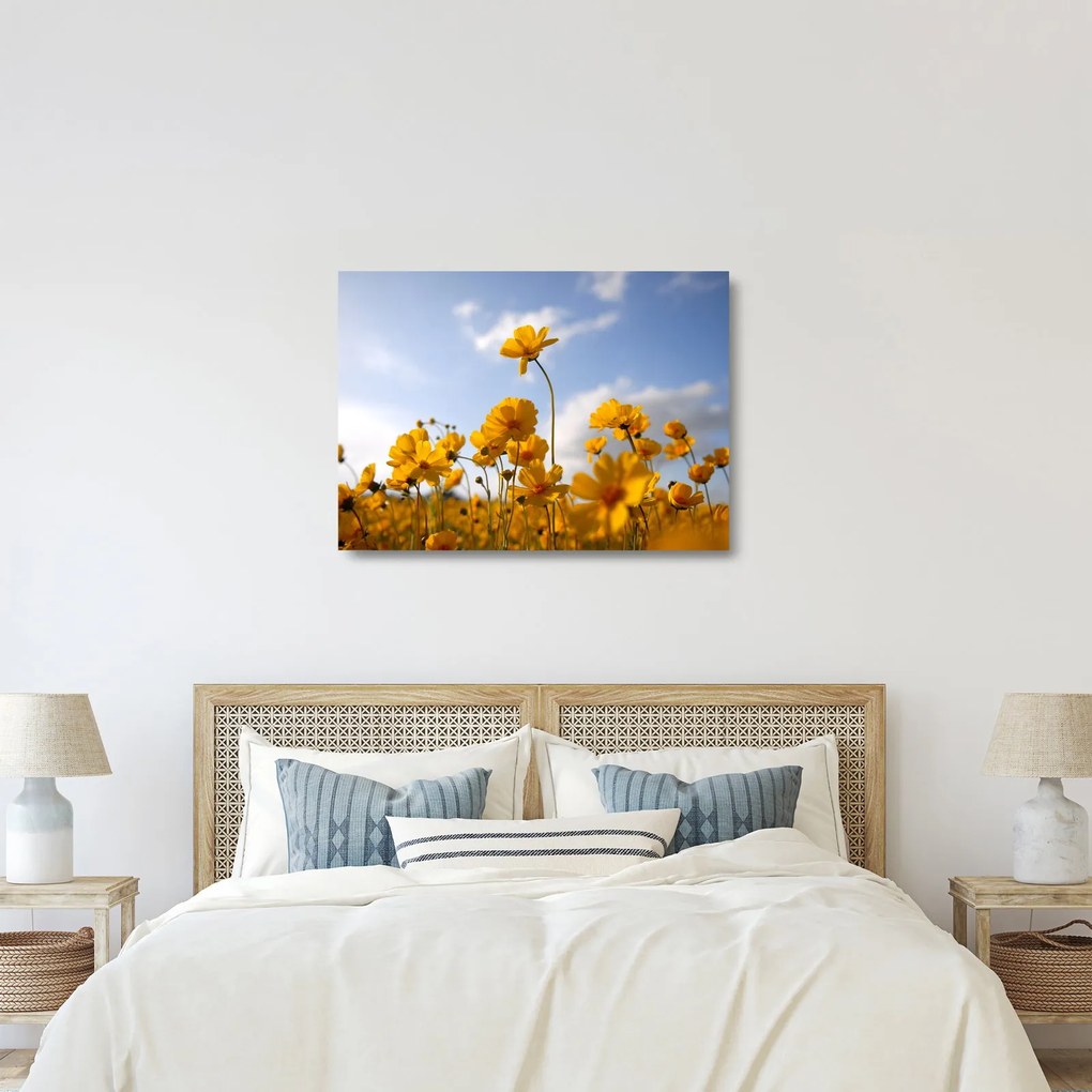 Fényes sárga virágokkal rendelkező mező képe (üvegen) (70x50 cm)
