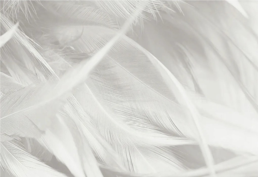 Dekoratív Fotótapéta Flizelin a Hálószobába Finom tollak 152x104