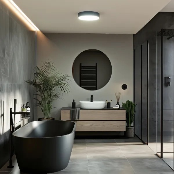 Brilagi - LED fürdőszobai mennyezeti lámpatest POOL LED/24W/230V Ø 30 cm IP54 fekete