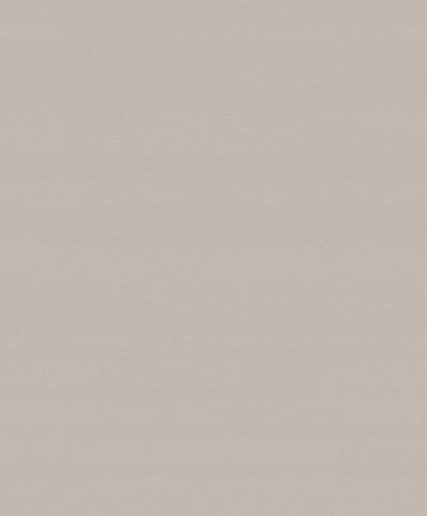 Bézs Tapéta A Szobába Vinil Szerkezetű Tapéta