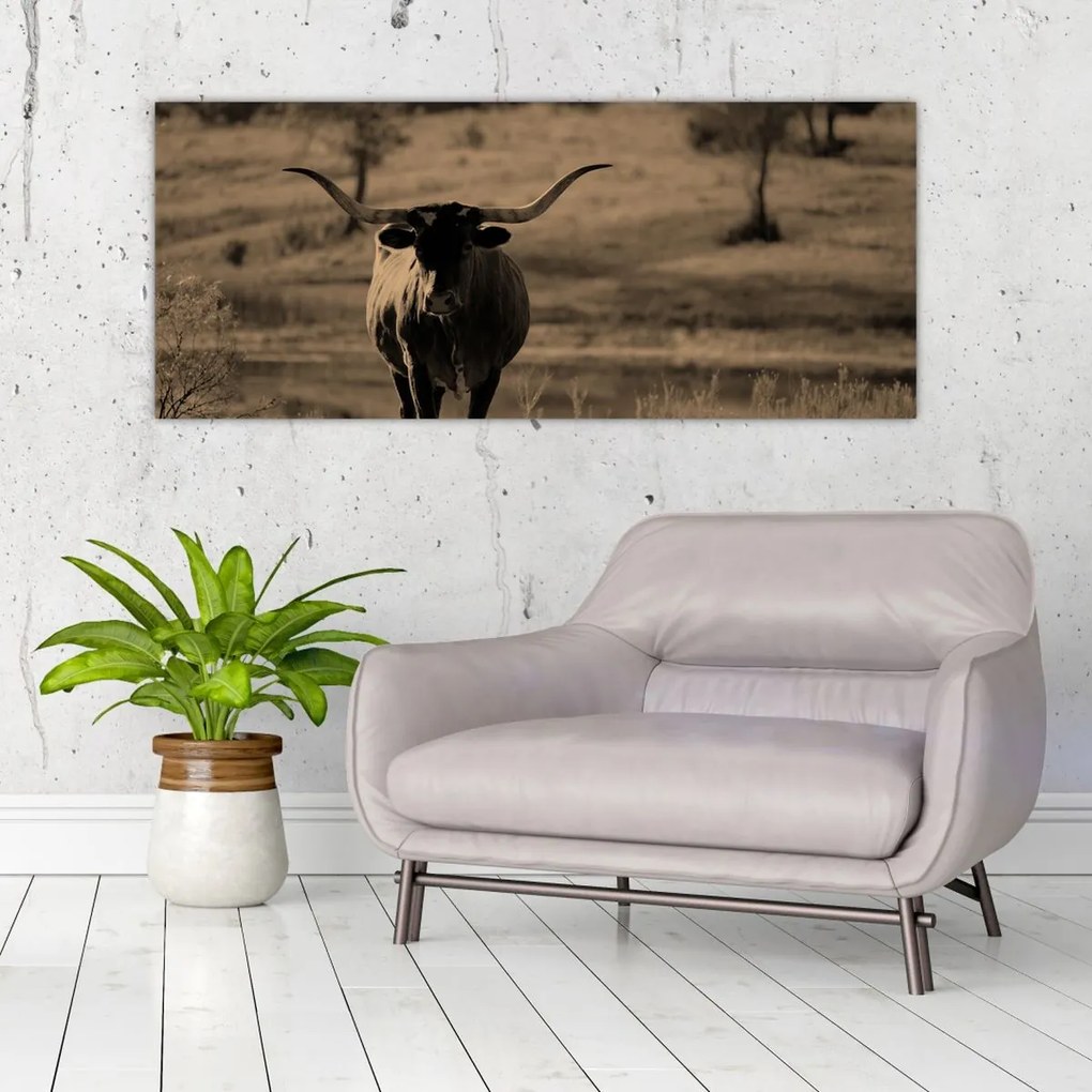 Kép - Texasi tehén (120x50 cm)