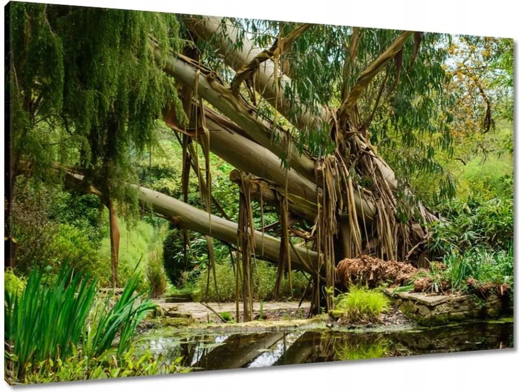 Vászonkép 90x60 Tájkép Látvány