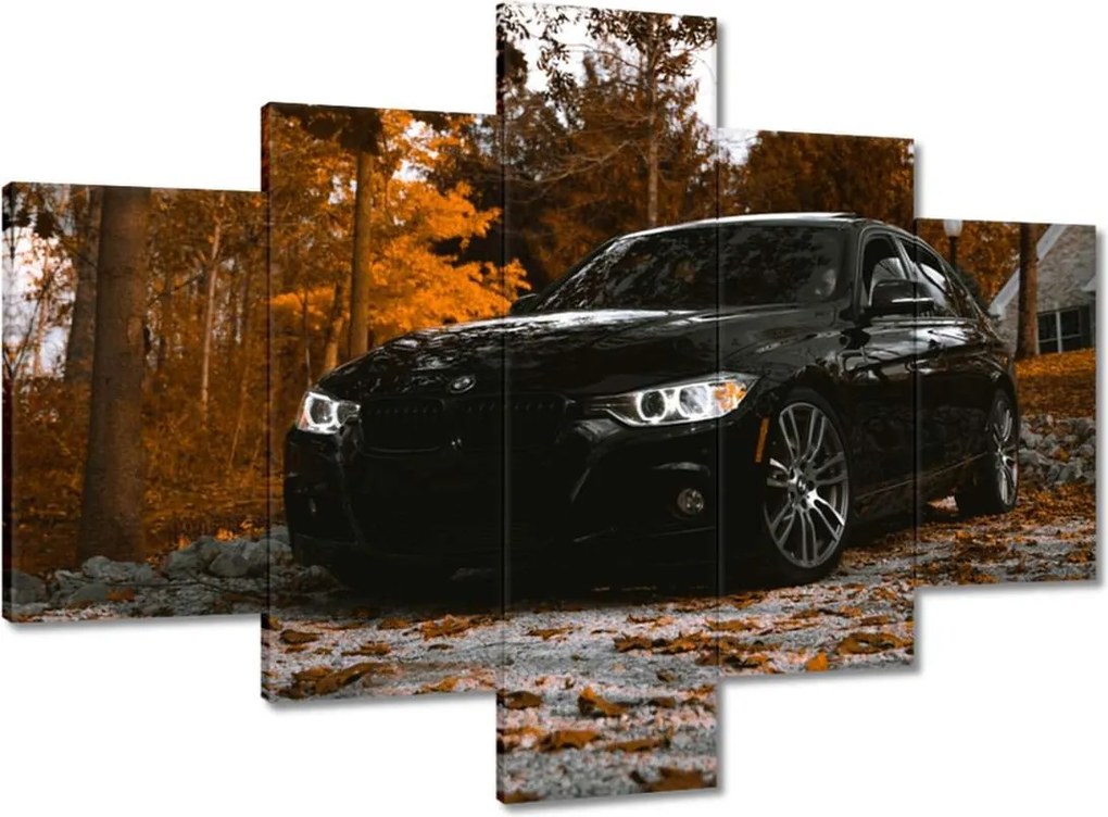 Vászonkép 100x70 Fekete Bmw Ősz