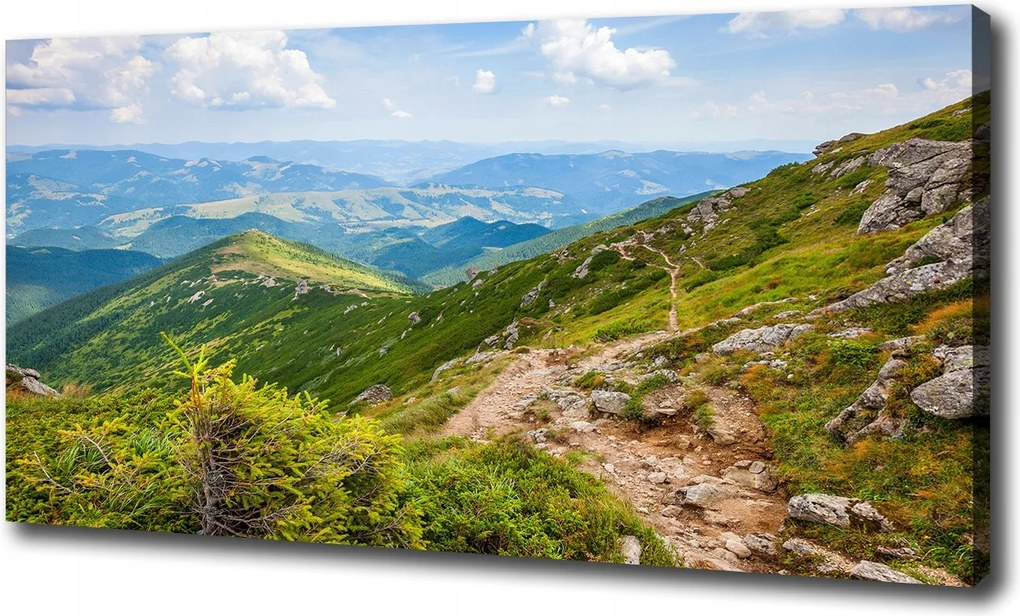 Vászonkép Zöld dombok 100x70 cm