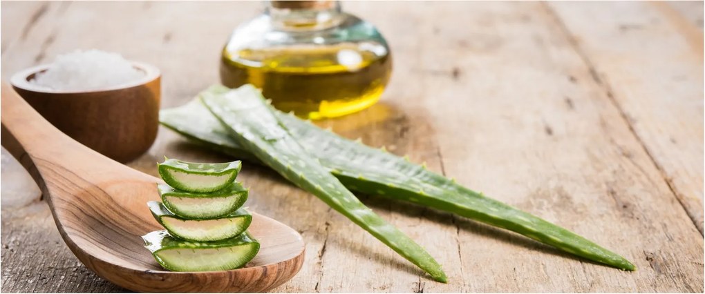 Kép - Aloe vera (120x50 cm)
