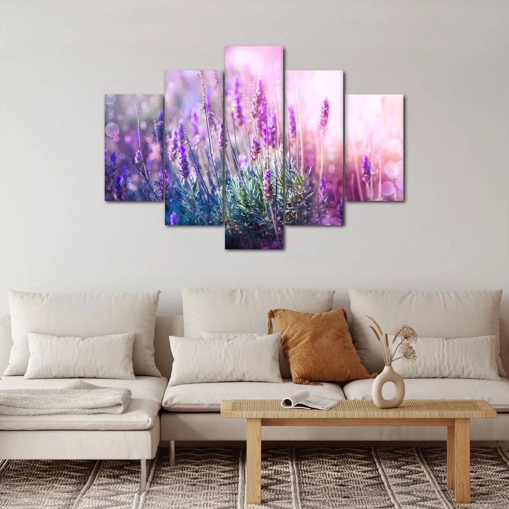 Kép - Levendula a csillogó napban (150x105 cm)