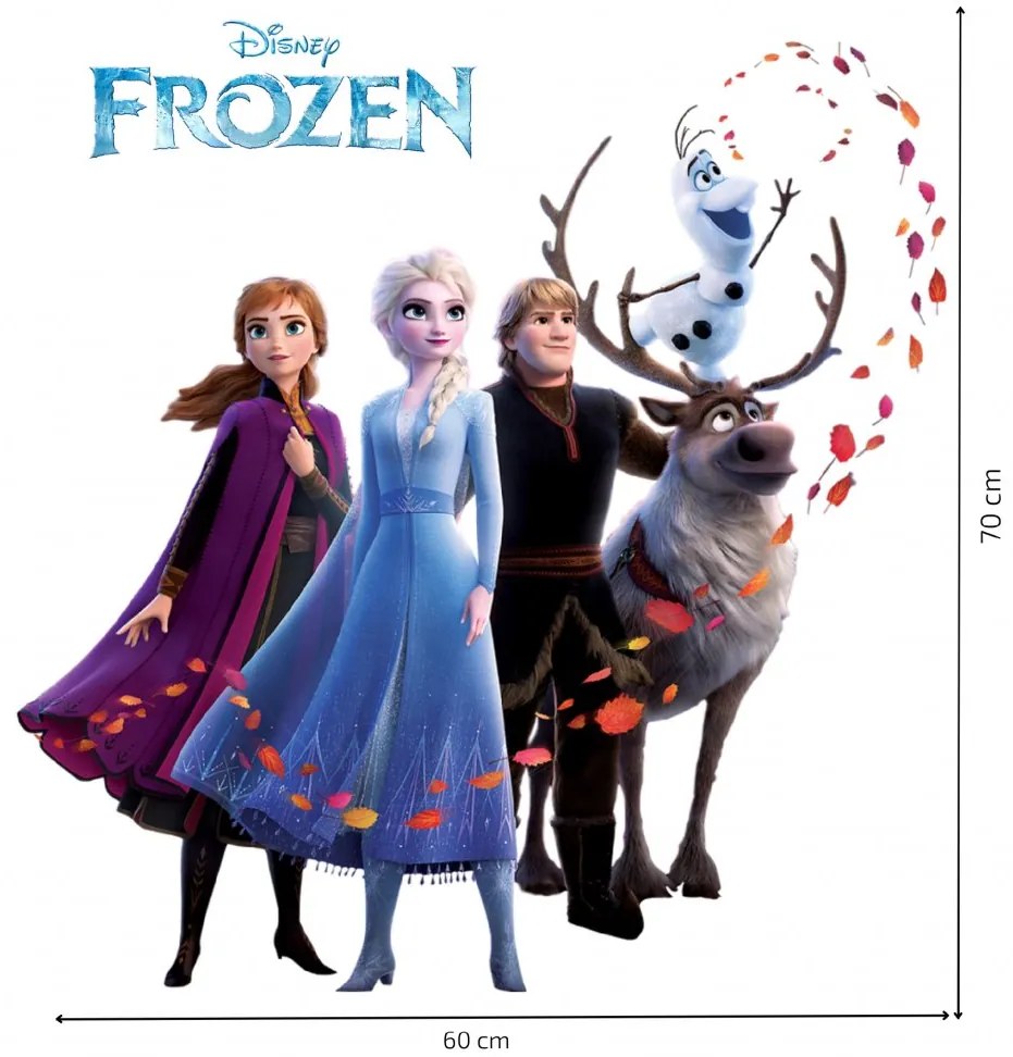 Falmatrica "Frozen 2" 60x70cm