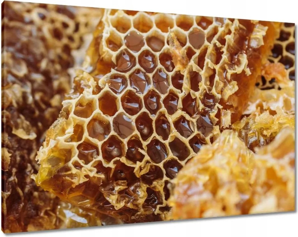 Vászonkép 100x70 Sárga méhsejt